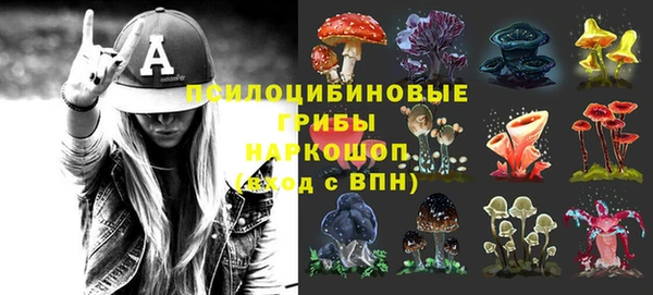 марки lsd Абаза