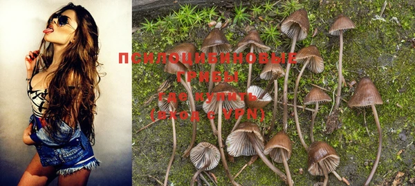 прущие крисы Заволжье